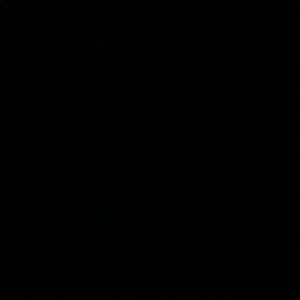 Meet your Posher, Chaunte